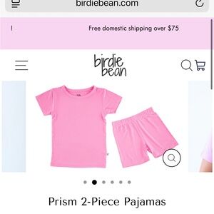Birdie Bean Bamboo Pajamas Set Short Sleeve 3T NWOT